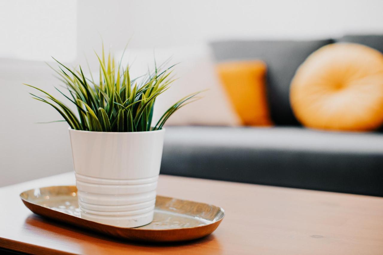 Appartement Cosy Avec Place De Parking Prive Toulouse Kültér fotó